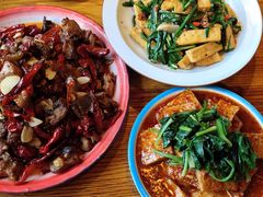 -柴窝堡22号辣子鸡·传承新疆菜