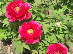 -江南大学(蠡湖校区)