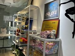 -中央芭蕾舞团·中芭艺蕾(酒仙桥明星校区)