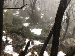 -王顺山国家森林公园