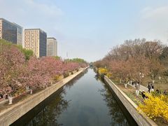 -元大都城垣遗址公园