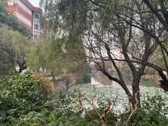 -皇朝尊会(龙之梦大酒店)