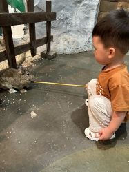 点击看大图 -Zoolung Zoolung动物主题公园(海信广场店)