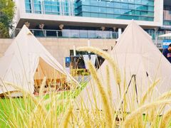 -CAMP.33露营烤肉·团建聚餐(创智天地店)