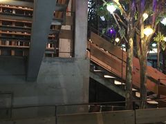 -梓程海鲜大酒家