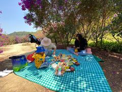 -南国桃园旅游度假区