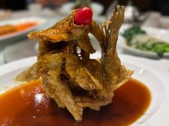 -老牌坊鲁菜名店(聊城美食岛店)