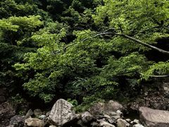 -浙西大峡谷