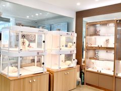 -翊宠yipet猫狗购宠庄园犬舍•猫舍