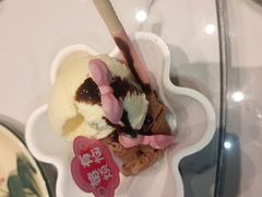 -阿露佳·舌尖上的安吉菜