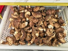 -南渝食府.墨脱石锅松茸鸡