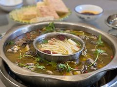 泡姜鸡-黑河坝泡姜鸡贡椒鱼(贾旗路店)