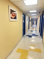 -杭州贝瑞斯美华妇儿医院·早孕·产检·儿科