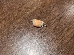 -萨莉亚意式餐厅(南京万达茂店)
