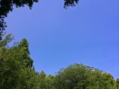 -同里国家湿地公园