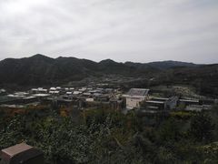 -照金红色旅游名镇