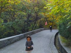 -北京上方山国家森林公园