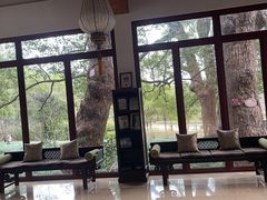 -普陀山雷迪森庄园