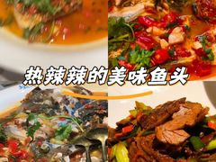 -坛宗剁椒鱼头(河西王府井店)