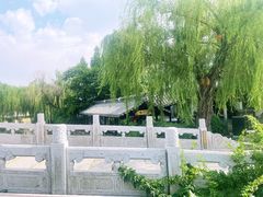 -台儿庄古城