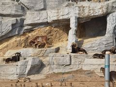 -南京金牛湖风景区