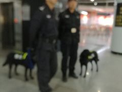 -东方体育中心(地铁站)