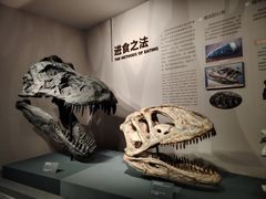 -自贡恐龙博物馆