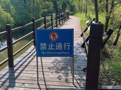 -会仙湿地