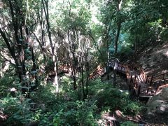 -大岭沟猕猴桃谷风景区