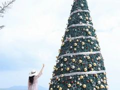 -海南清水湾莱佛士酒店