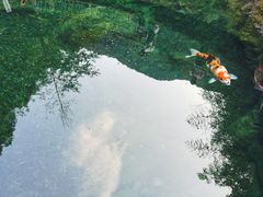 -大奇山国家森林公园