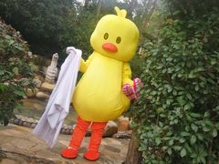 -天目湖涵田半山温泉