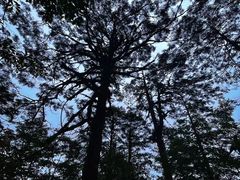 -龙苍沟森林公园