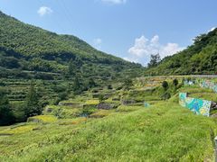 -四明山国家森林公园
