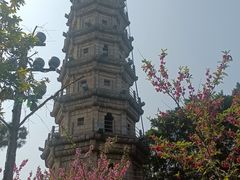 -船政文化景区-罗星塔公园