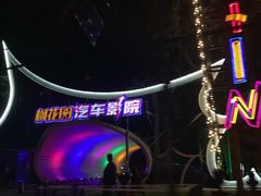 -枫花园汽车电影院(朝阳公园店)
