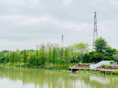 -怡海公园(桂城街道)
