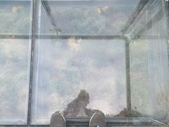 -萍乡武功山风景名胜区