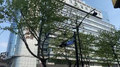 -杭州贝瑞斯美华妇儿医院·早孕·产检·儿科