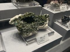 -湖南省地质博物馆