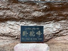 -天山神秘大峡谷