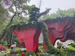 -广州市白云山风景名胜区
