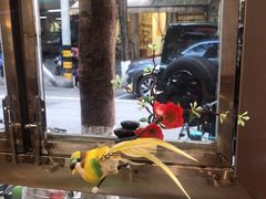 -花鸟鱼私家小厨(文殊院店)