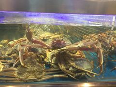 -盒马鲜生(大成店)