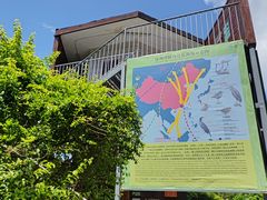 -华侨城湿地公园