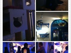 环境-Sirena海妖日咖夜酒