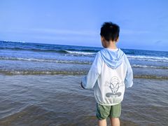 -日照海滨国家森林公园