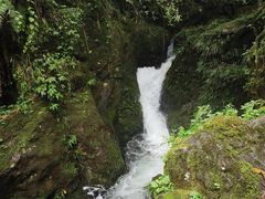 -龙苍沟森林公园