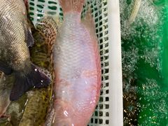 -东胜客河鲜店·西江河鲜·老字號渔家菜