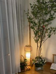 -彤竹瑜伽普拉提馆·女子孕产健身会所